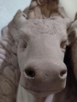 /home//u458753944/public_html/sourcegallery//other/uk 2023/london/IMG_20230919_120032252.jpg